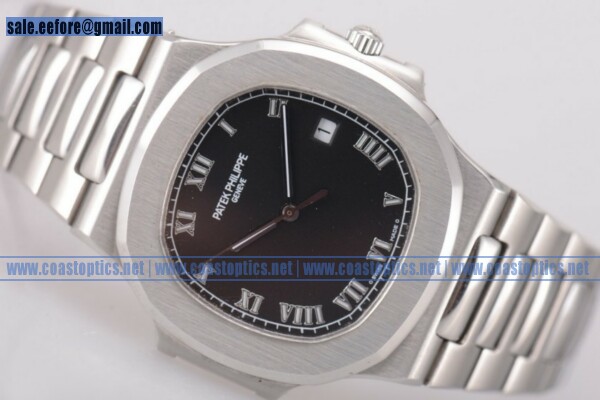 Patek Philippe Nautilus Perfect Replica Watch Steel 3800/1A-001 (BP)